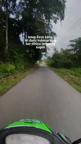info dong harga telur d wilayah kalian teman-teman #bebekpetelurlutra #peternakbebekkandang #fypage #CapCut #