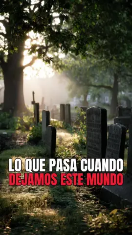 ¿Qué Ocurre Realmente Cuando Dejamos Este Mundo? La Biblia Lo Explica 😨🙌🏽🙏🏽 #miracle #god #Dios #pray #Milagro #bible #biblestories #historiadelabiblia #historiasbiblicas #jesus 