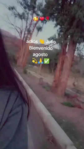 adiós Julio gracias por todo 💫🙏✅