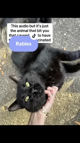 And i still pet feral cats (please get your shots if you get bit by unvaccinated feral animals) #rabies #bitinlist 
