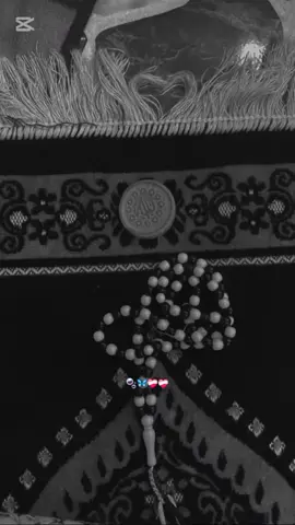 #الشيخ_علي_المياحي 🤎👌🏻