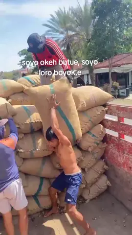 #soyo gede soyo okeh butue#fyp#pejuang rupiah#jatisrono24jam 