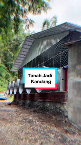 Proyek dari tanah 2 bulan jadi kandang close house rak koloni populasi 20.000. Pembangunan & upgrade kandang WA 081 33 55 8 2012 #CapCut #kandangclosehouse #indonesia🇮🇩 #fyp #kandangayam #RakKoloniBroiler #PeternakMuda  @CHONAM SENSEI  @Zed Broiler Tim Ragil  @Tim Ragil Sektor Timur  @Peternak Hebat Nusantara  @NuHa BrOiLeR  @PHNXRAGILTEAM 