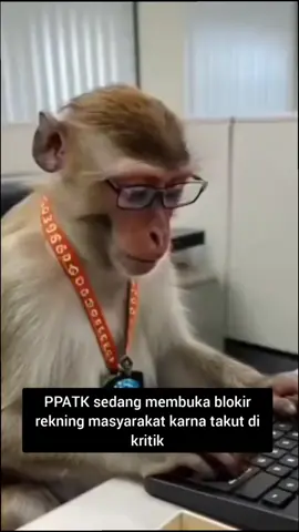 viral ahirnya #ppatkbukablokirrekening #masyarakat #fyp hari ini