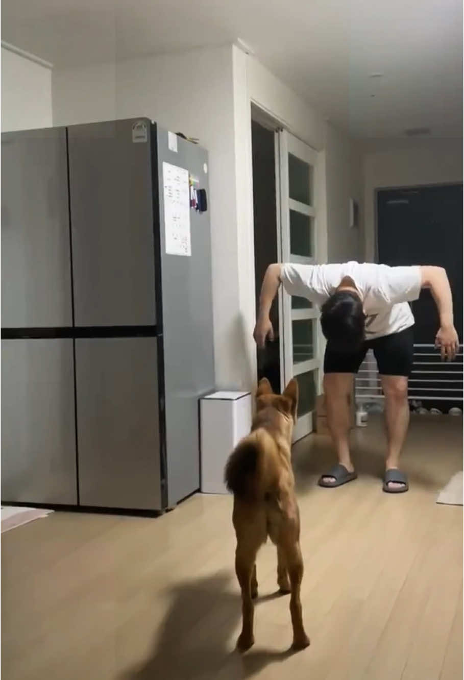 Scare your dog😂😜#fentysuperbrandday #dogsoftiktok #dogs #cutedog #usa🇺🇸 