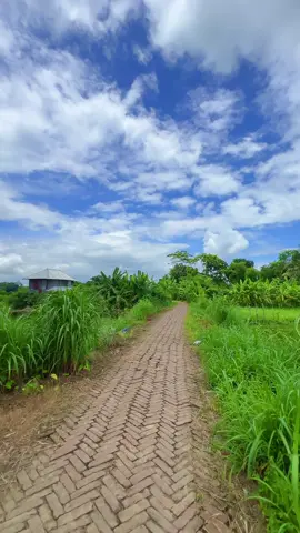 সোনারগ্রাম ❤️  . . . . .#foryou #foryoupage #fyp #nature #naturelover #beautiful #village #madaripur #childhood  #tiktok #tiktokviral  #trending #viral #trending 