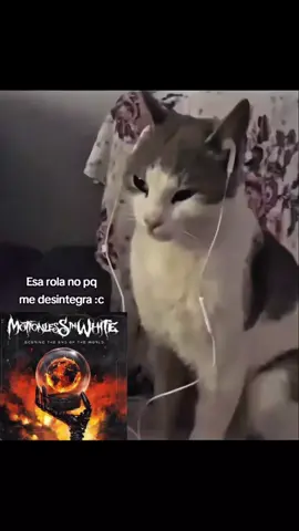 #motionlessinwhite #metalcore #masterpiece #metalcoretiktok #chriscerulli #metalmusic 