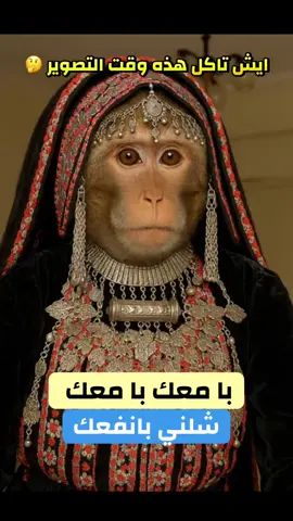 با معك با معك  في الهوى باتبعك  شلني بانفك  في ليالي السعود  فيصل علوي  #فيصل_علوي #قرود #تراث #مطعون 
