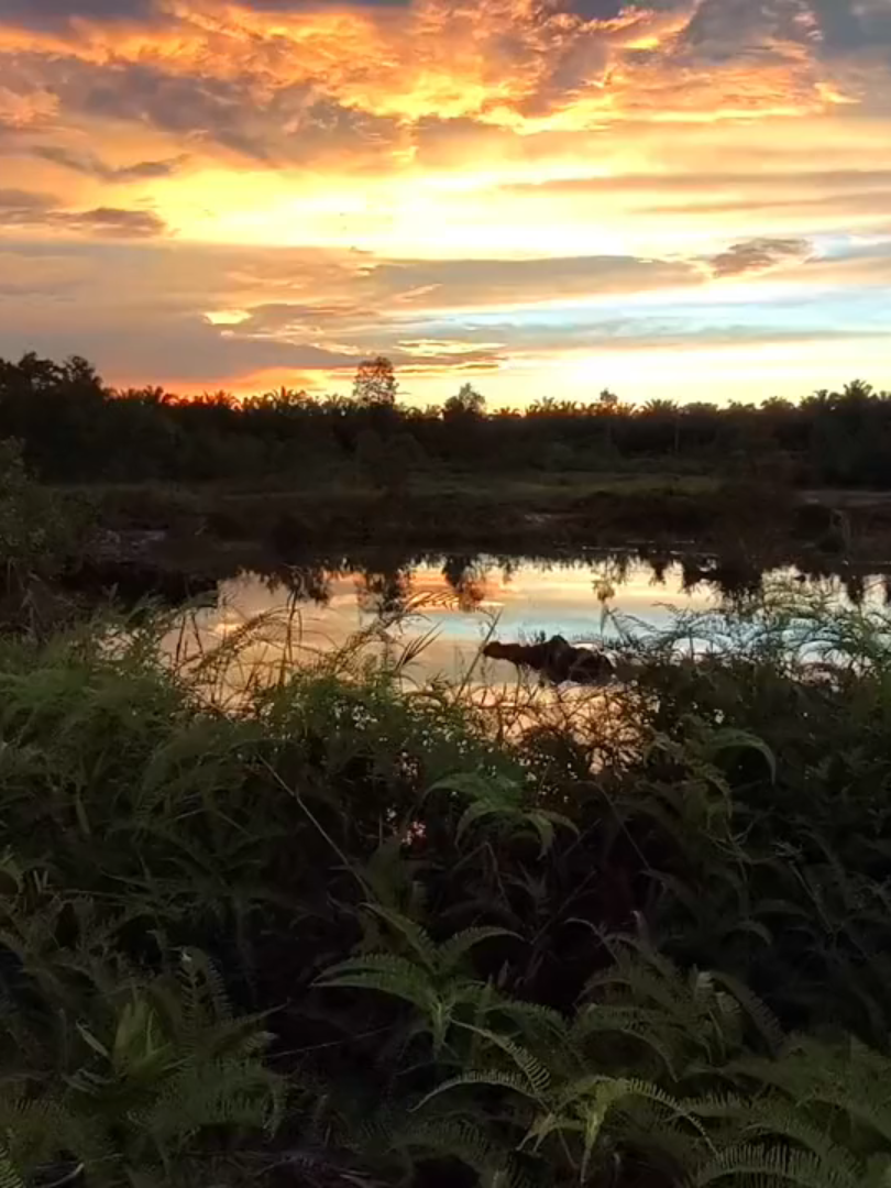 #sunsetlover #fyppppppppppppppppppppppp #4u #shootonpocox7pro #sunsetvibes 