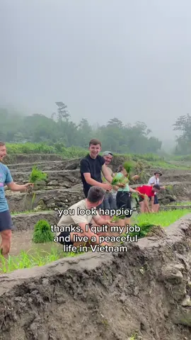Nothing beats pure green and laughs😂 #vietnam #vietnamtravel #funny #viral #youlookhappier  