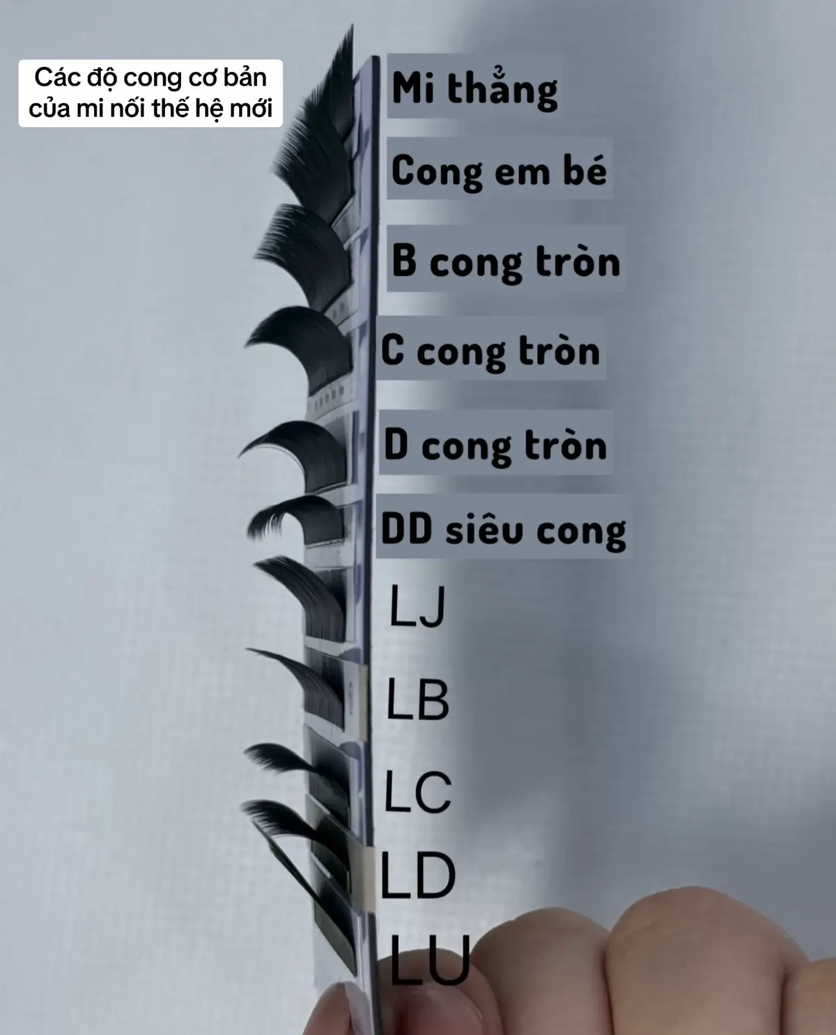 Ngày xưa cơ bản chỉ có 2 3 độ thôi, bâyg lên 10 11 độ, chúc các newbie nhìn qua mô hình sẽ dễ nhớ bài hơn #tochihomebeauty #nốimi #eyelash #eyelashextension #xh #viral