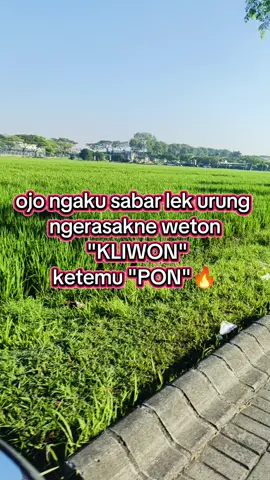 #wetonjawa #jawastory  #primbonjowokuno  #kliwon #pon 