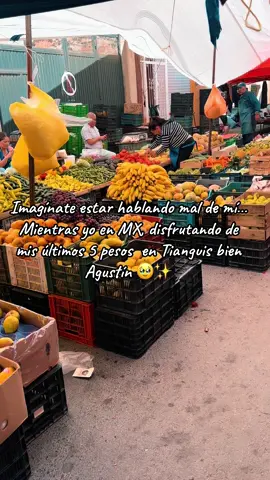 Tu, y tus malas vibras me viene guangas mailob💖 A mí lo único que me frustra, es tener que ir al centro.. para sacar más dinero ☺️✨ Que chingón es México… verdad de Dios que si 🇲🇽.                                                    #fyp #tianguis #mexico #zacatecas #vacaciones #paratiiiiiiiiiiiiiiiiiiiiiiiiiiiiiii #pueblito 