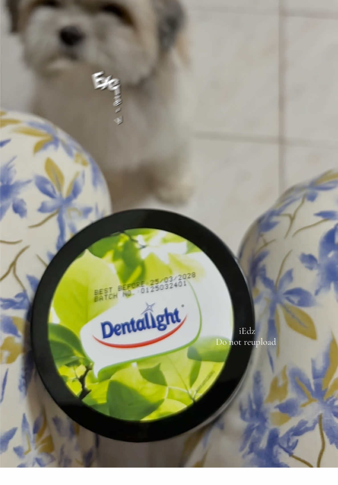 My Dog Can’t Wait for Her Dentalight Dental Stix! 🐶 | Chicken Milk & Seaweed Flavor Treats 🍗🥛🌿  #Dentalight #dogtreats #petcare #freshbreathfordogs #HealthyDog      Yumi’s favorite part of the day? Dentalight Dental Stix time! 🦷✨ These yummy star-shaped treats come in Chicken, Calcium Milk, and Seaweed flavors—designed to freshen breath, remove plaque, and support a healthy tummy. Watch how excited she gets! 😍