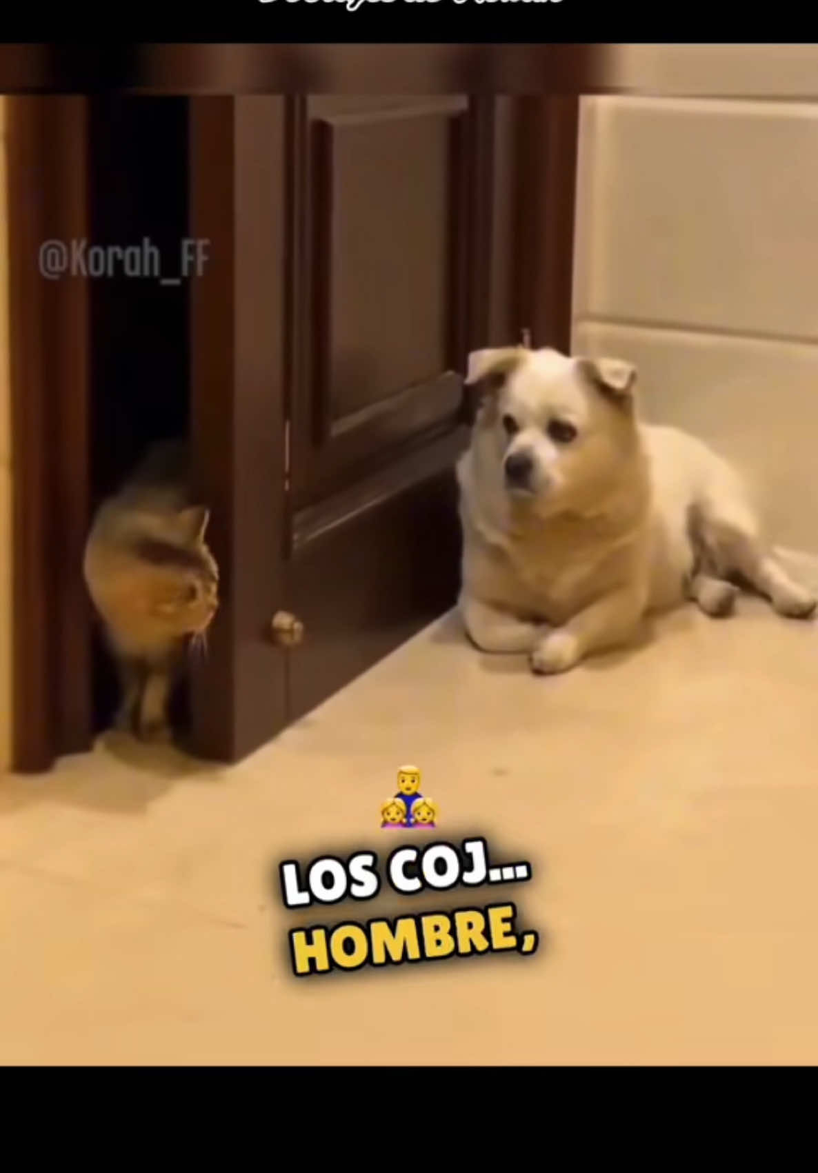 #recuerdos doblajes de korah