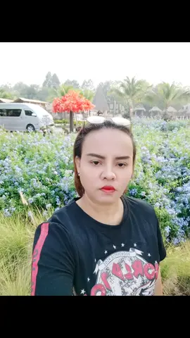 🇹🇭🇹🇭🇹🇭🇹🇭✌✌✌❤❤❤💪💪💪 #รักประเทศไทย🇹🇭 #สู้ๆ #ทหารไทยสู้ๆ #ทหารไทย #ไทยนี้รักสงบเเต่ถึงรบไม่ขลาด 