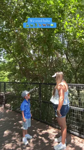 Our last little trip before I start work on Monday 🥹🫶  . . Our summer was good to us 🌞😎 #zoo #mommyandsonmoments #dance #foryoupage #fyp #summer2025🌴☀️ #Summer #boymomlife #boymom #zoodate #fypシ゚viral #dancingtiktok 