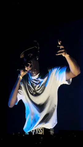 LIKE HIM 🥲 #lollapalooza #tylerthecreator #chromakopia #chicago#likehim 