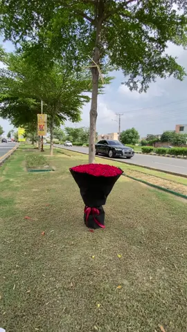 booking pre order for booking whats ap 03040412326 Day available all colours roses in our all outlets Lahore Pakistan #trendingsong #ValentinesDay #roses #flowershop #viral #gifts #foryoupageofficiall #tiktok #fyp #overseaspakistani #giftideas #blossomslahore #pakistan 5 18 88 + Home Friends less#Tulsiflower 2 Home Criandelnes : #rekomendasi #fypp #flowers #foryoupage #рекомендации #on #yp #elbruso #fype #rekomendasifilm #@ 187.4K 1,844 10.2K 31.9K less