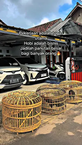 This is Owner BRF 🔥#bkselatan🏴‍☠️ #ayambangkoksuper #ayambangkokindinesia #bangkokpride #ayambangkokimport #bangkoklampung #ayambangkoklampung #pakhoy #pakhoyfullbrakot 