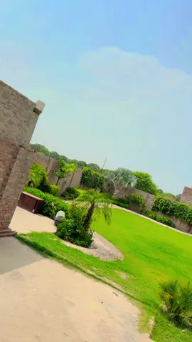 #onthisday #tiktokpakistan #link #foryou #krain #viral #like #foryou # Number Daar 🤷🏼‍♂️🤗😇😜