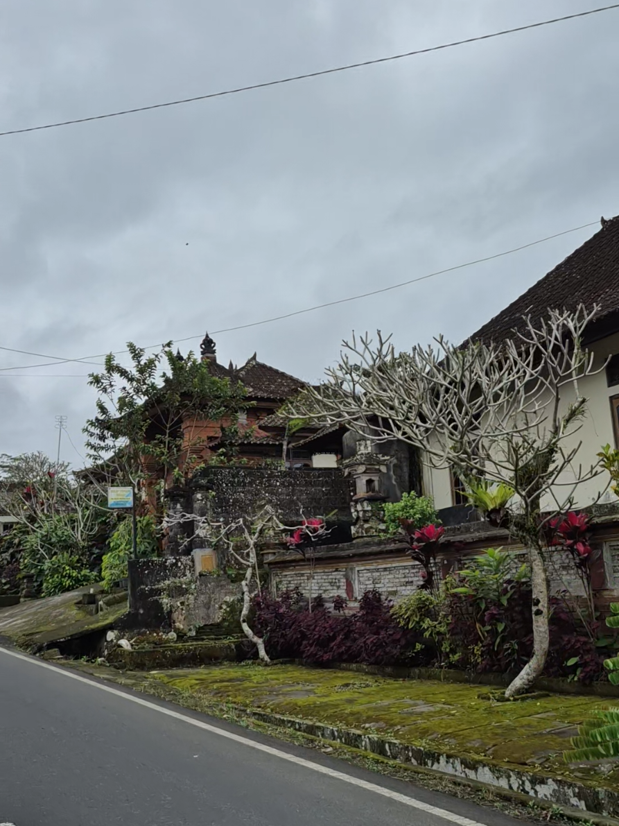desa buahan payangan gianyar bali#baliindonesia #ubudbali #desadibali #desabersih #jelajahbali #baliku #ekplorebali