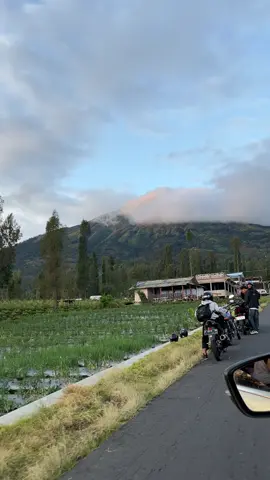 #dieng #diengwonosobo #wonosobo #banjarnegara #kebunteh #kebuntehtambi #wisata #gunung #gunungsindoro #pendakigunung #pendakiindonesia #wisata #fyp #fypage 