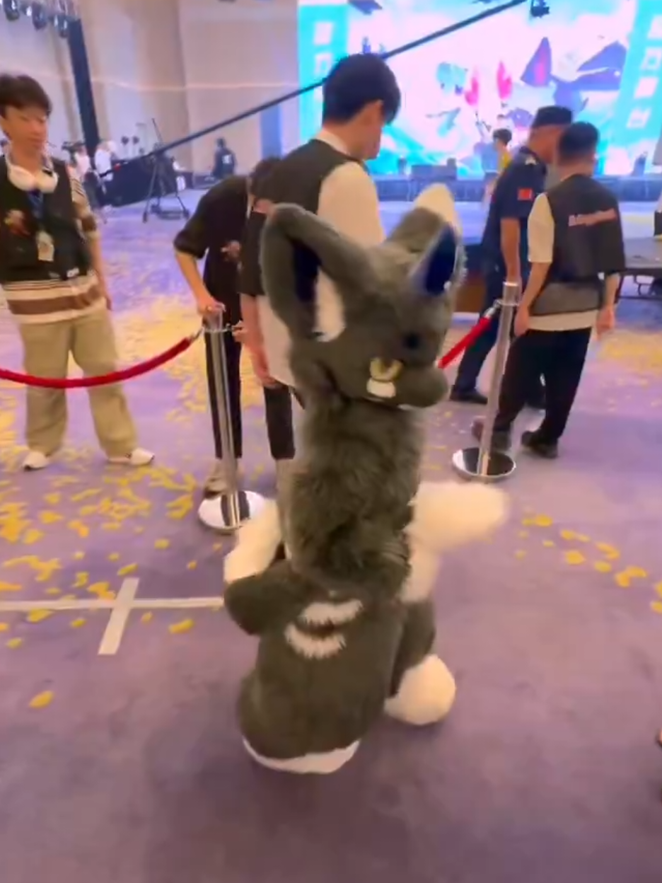 how cute😩 เคดิต Twitter cr:_Roborab #เฟอร์รี่ #เฟอร์สูท #เคโมโนะเฟอร์รี่ #น่ารัก #ฟีด #kemonofurry #furryfandom #kemonofursuit #furrycommunity #furry 