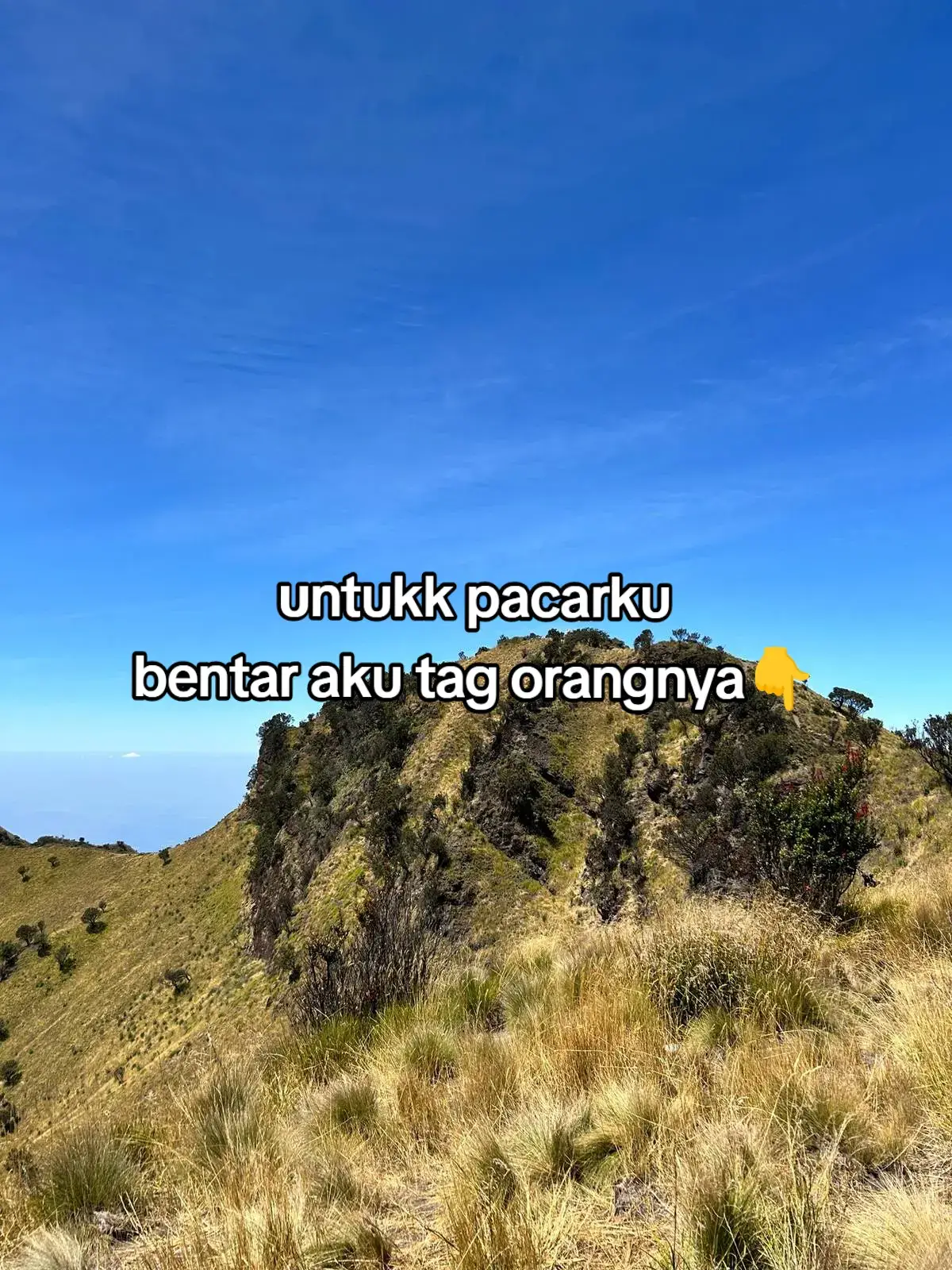 #xyzabc #storybucin #katakatabucin #foryoupage #foryou #4u 