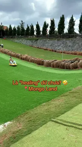 Nghe đồn Trượt cỏ đang 🔥🔥🔥 Là “chữa lành” dữ chưa? 🤣 #dalat #mongoland #healing #dalatstory #truotco #funny 