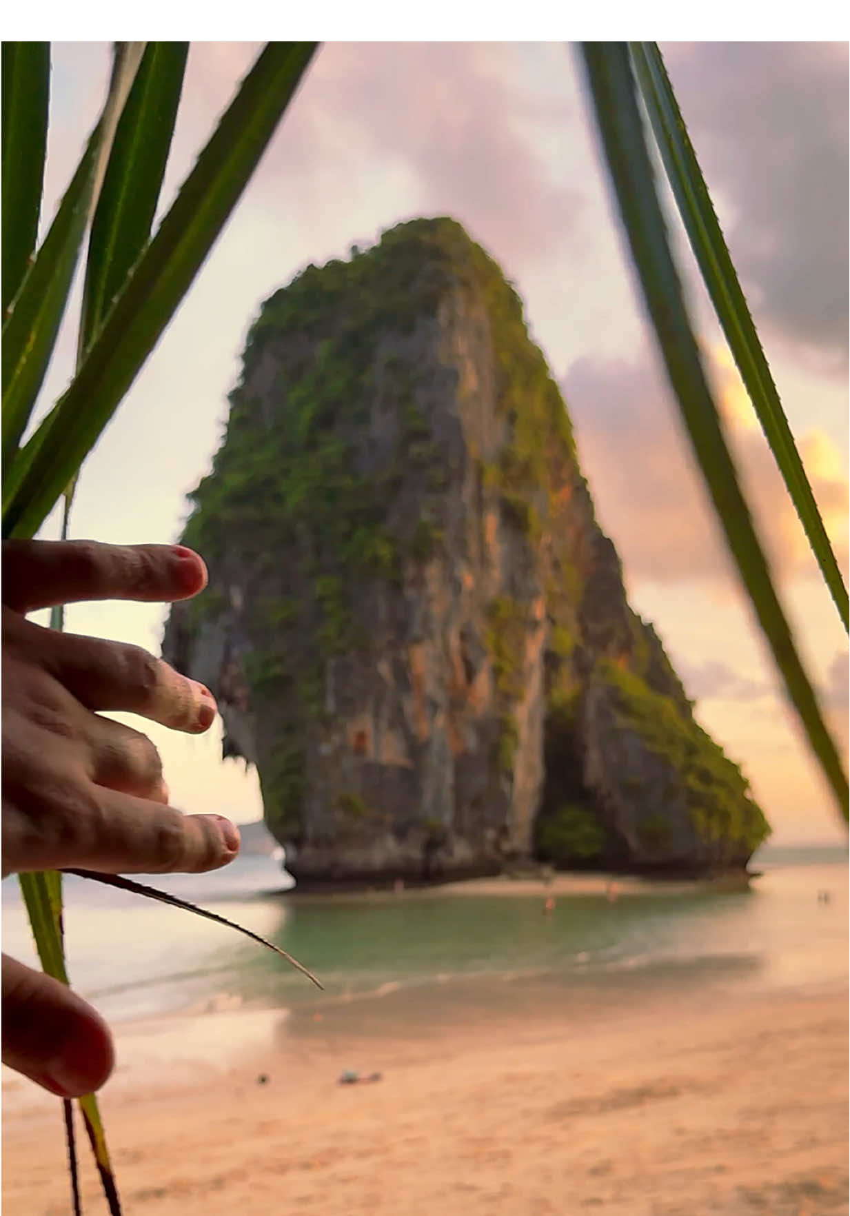 Nature’s masterpiece at golden hour 🏝️🌅 📍Phra Nang Beach - Krabi , Thailand 🇹🇭  #thailand #thailandtravel #krabi #travel #islandlife #beachvibes #vacations #traveler #nature 