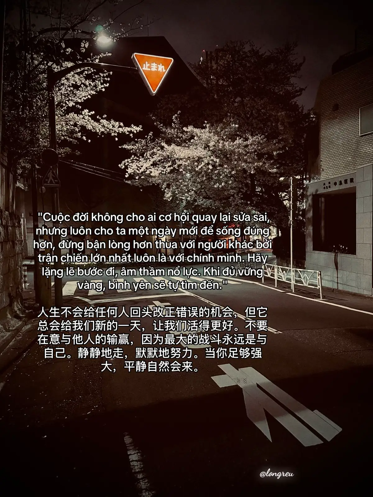 人生不会给任何人回头改正错误的机会，但它总会给我们新的一天，让我们活得更好。不要在意与他人的输赢，因为最大的战斗永远是与自己。静静地走，默默地努力。当你足够强大，平静自然会来。#fypシ゚ #longreu #caphay #xahoi #doisong #xuhuongtiktok #thinhhanh 