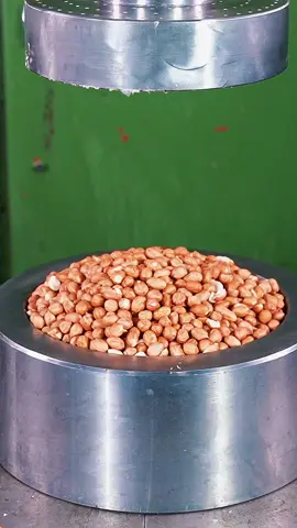 Relaxing and mesmerizing, explore this and more on @HPC Official!  #amazing #asmrfood #satisfyingvideo #asmrtiktoks #satisfying #asmrvideo #asmrsounds 