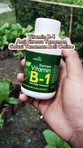 Vitamin B 1 anti stress tanaman #vitaminb1 #antistresstanaman #vitaminb1tanaman #infarm #infarmid #berkebun 