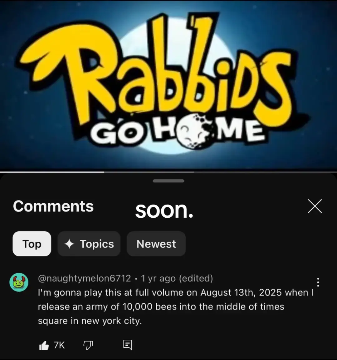 #rabbits #rabbids #fyp #funny #august13