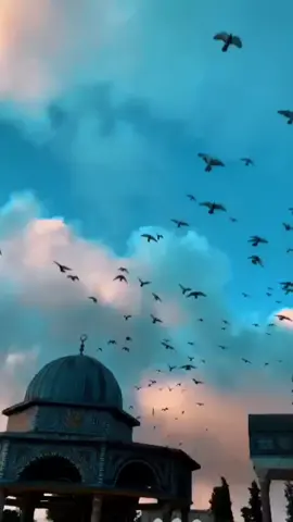 ونفسُ الشريف لها غايتان..  ورود المنايا ونيلُ المنى وما العيشُ؟ لا عشتُ إن لم أكن..  مخوف الجناب حرام الحمى