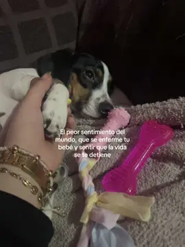 tú y yo, mi princesa consentida☹️                                         #paratii #perros #mascotas #parvovirus 