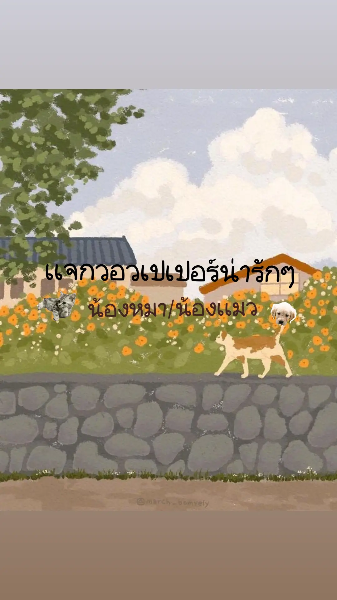 ˖ ֹ੭୧ เเจกวอวเปแร์น้องหมา/น้องเเมว ⊹ ࣪ ⑅#fyp #วอเปเปอร์ #ฟีดดดシ #น่ารัก 