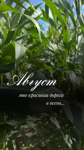 #август  #2025 