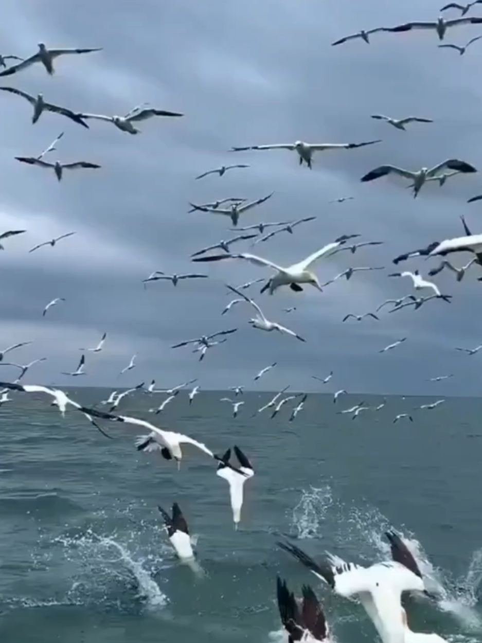 جمعه مباركه جمعه طيبه دعاء دعوة اذكار ادعيه قرأن 🤲 اللهم يس امورنا وشرح صدورنا 🤲🤲🤲🙏🕌🙏🤲 صباح الخير أسعد الله أوقاتكم بكل خير 🌷💐🌸🙏🤲🌹🌺😚♥️🤍💕  #جمعة_مباركة 🕌 🕋 🙏 🤲 🙏  #جمعه_طيبه_بذكر_الله  #صباح_الخير  #دعاء  #ادعيه_اذكار_تسبيح_دعاء_استغفار 