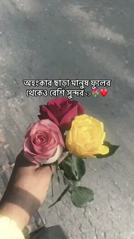 Hmm😌🌷#foryou #foryoupage #tiktokviral #viralvideo #copylink 