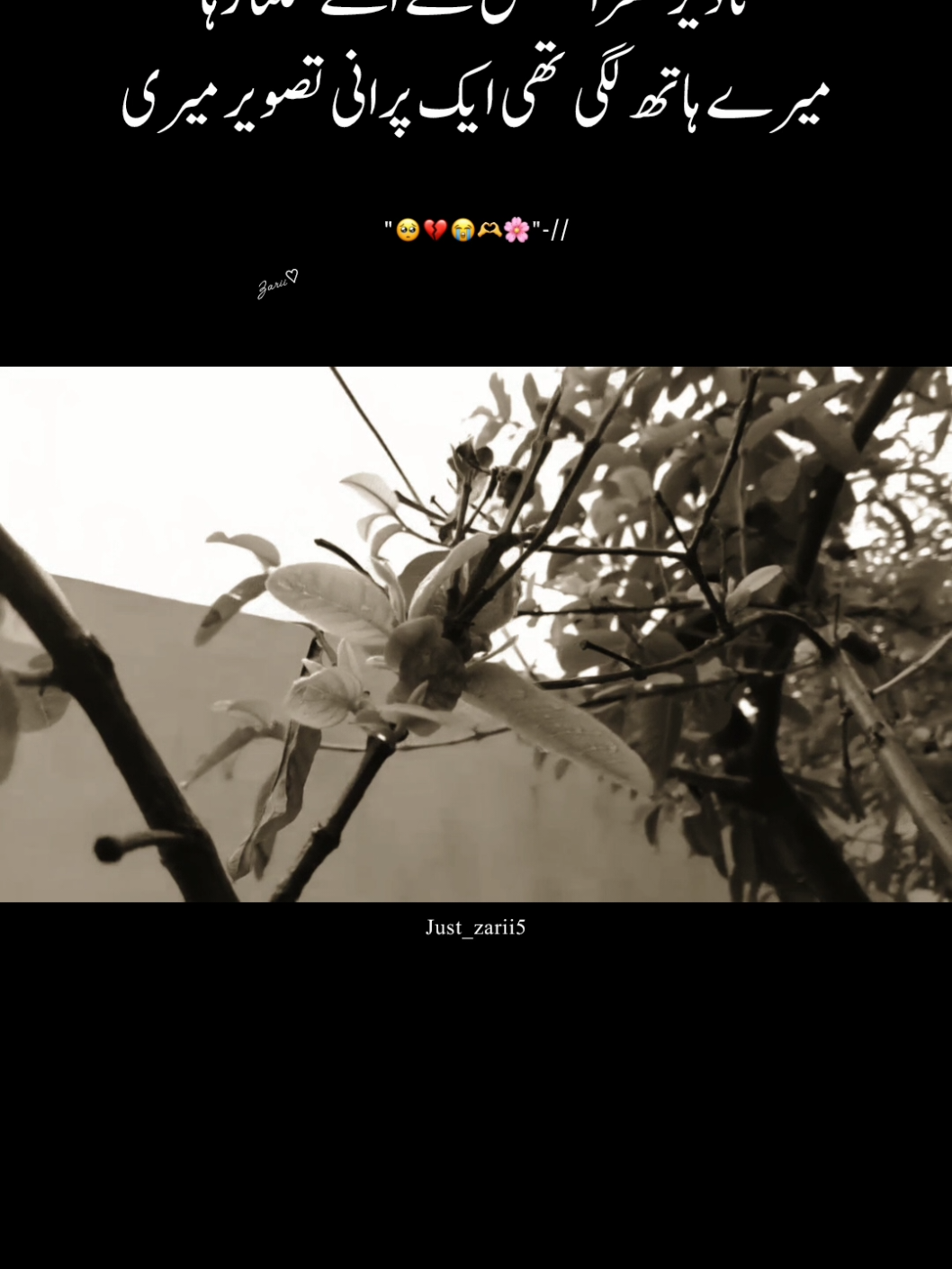 porani tasveer 🥺♥️ #just_zarii05 #foryoupage #foryoupage #plzunfrezemyaccount #plzdontunderviewsmyvedios #zarii♡ 