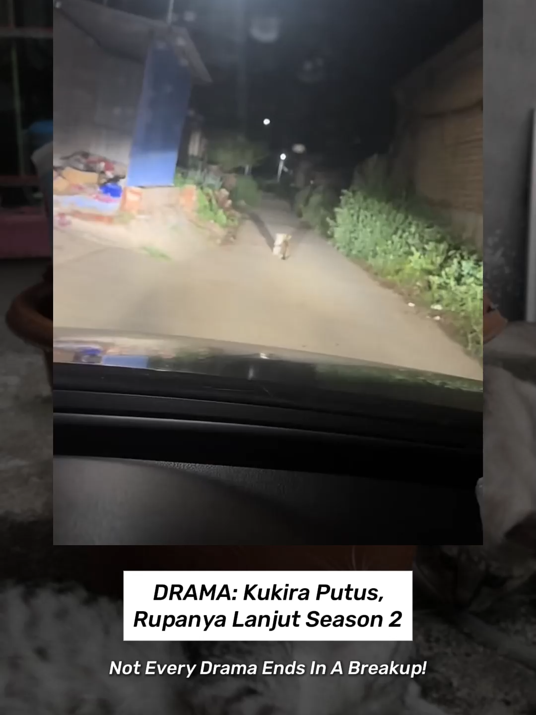 NOT EVERY DRAMA ENDS WITH A BREAKUP! #kucinglucu #kucinggemoy #kucingimut #kucingcomel #kucingkocak #kucingviral #catlover #cutecat