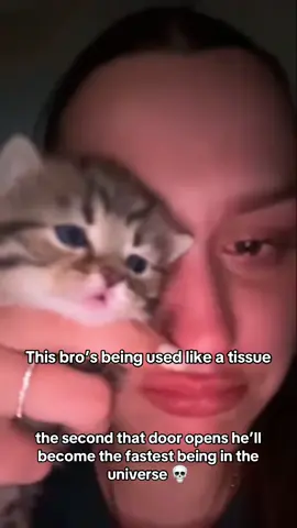 This mf been disrespected so bad he’s ready to go Ultra Instinct the second freedom appears  Follow me for more Daily kittens contents!✨ #kitten #kittens #kittycat #cat #cats #catlover #catlovers #kitty #kittycat #kittensoftiktok #fyp #catlover #catlovers #catlove #catslovers #kitties #kittiesoftiktok #kittenlove #animal #animales #funnyanimals 