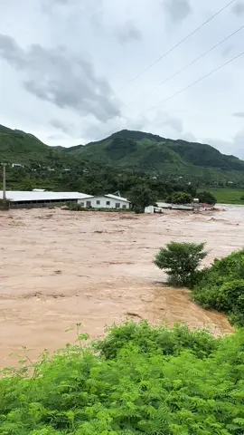 Năm Sông mã thiệt hại nhiều quá 😭