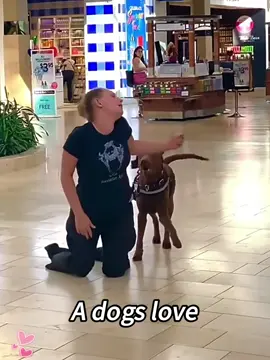 When the owner fell to the ground due to epilepsy, the dog’s reaction was touching: lt doesn’t understand the disease,it just knows that it can’t lose you #seizure #epileptic #fyp #emotional #Love #dog #funny #health #seizuresawareness #seizurealert #dangerous #paninful #poorwoman #rescue 