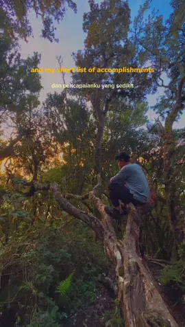 Gunung Dempo 2025 🥀 #happiness #rexorangecounty #pendakifomo #pendakigunung #gunungdempo  
