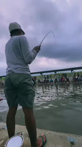 resikkkk #promoseruweekend #petaniangler #jokoberik #rilislelemalang #rilislelejawatimur #bersamaindonesiamaju #fyp 