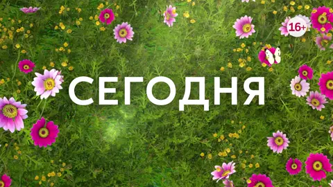 Ее привычная счастливая жизнь переворачивается после того, как муж попадает в автокатастрофу. В больнице она знакомится с человеком, чья жена тоже попала в аварию. Оказывается, их супруги были любовниками, а аварию подстроили...  🎥 «Переворот» — сегодня в 19:00.
