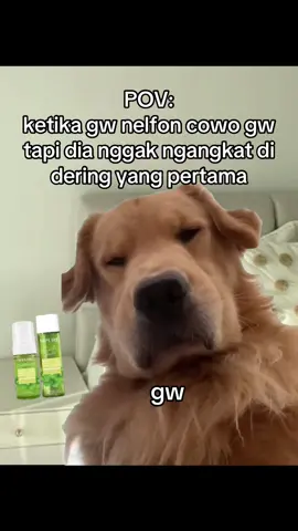 kalau ga main ML ya lagi telfon sama cewe lain!!! 😡😡😡 #memekucingofficial #midskuy #memekucing #viralid 
